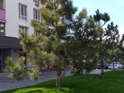 квартира за адресою Марії Примаченко вул. (Першотравнева), 24-А