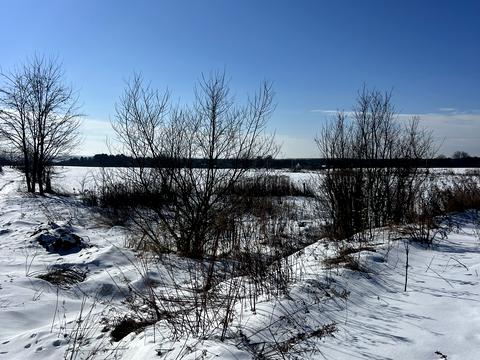 ділянка за адресою Центральна