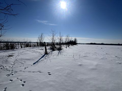 ділянка за адресою Центральна