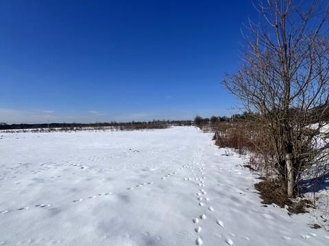 ділянка за адресою Центральна