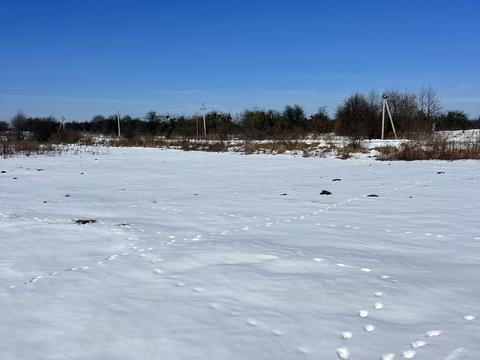 ділянка за адресою Центральна