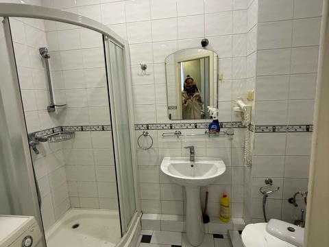 квартира по адресу Маяковского пер., 9