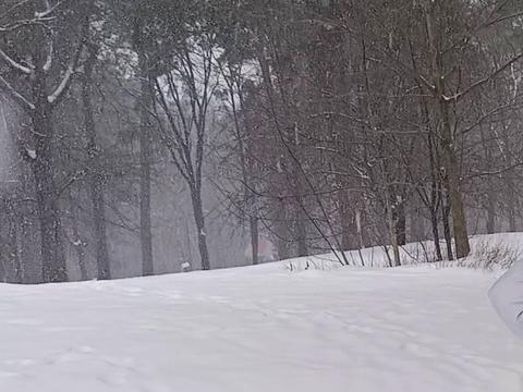 ділянка за адресою Шевченко