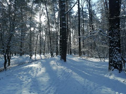 квартира по адресу Клавдиевская ул., 40-Е