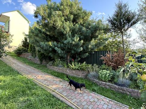 будинок за адресою Партизанська