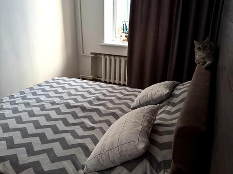 квартира за адресою Геннадія Біліченка вул. (Петровського), 29