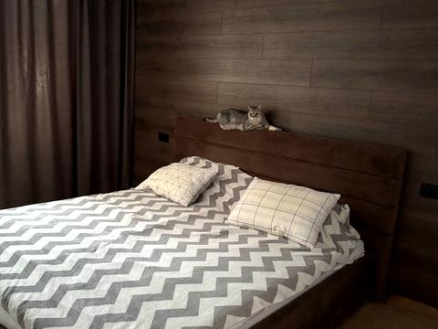 квартира за адресою Геннадія Біліченка вул. (Петровського), 29