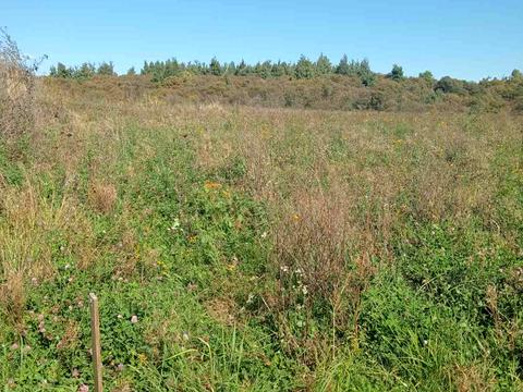 участок по адресу Кульпарковская ул.