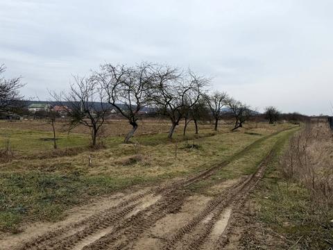 ділянка за адресою 