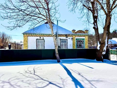 дом по адресу Независимости ул.