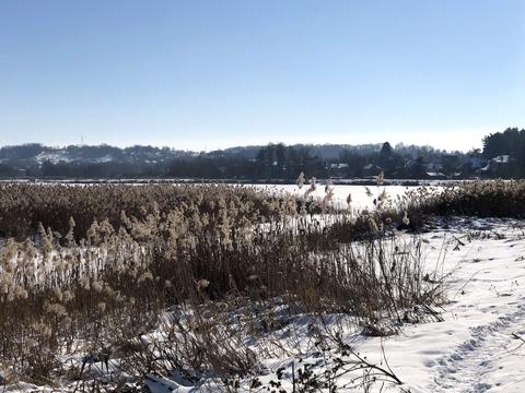 участок по адресу Центральна