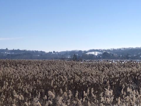 участок по адресу Центральна