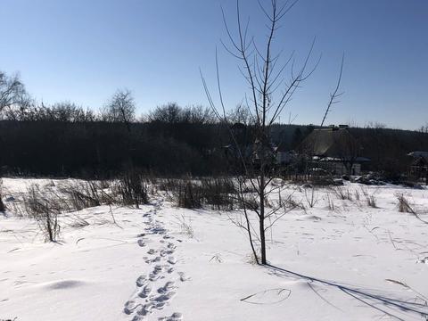 участок по адресу Центральна