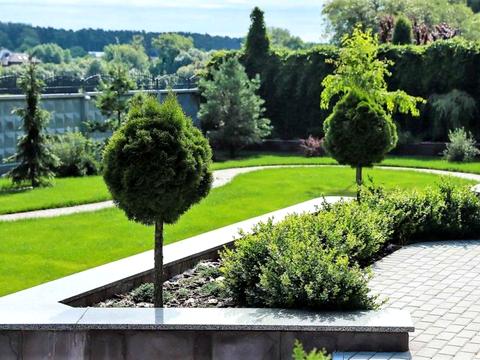 будинок за адресою с. Горенка, Приозерна