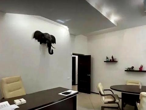 комерційна за адресою Шовковична вул., 18-Б