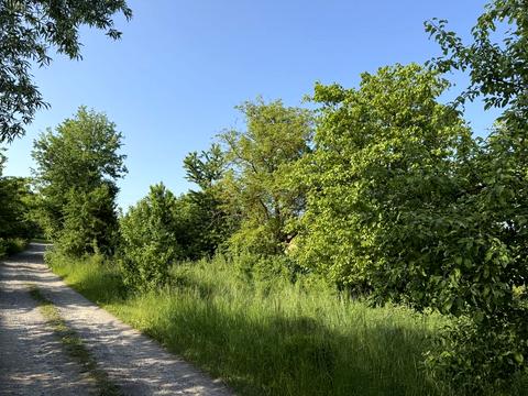 ділянка за адресою 