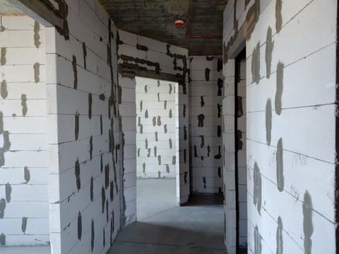 квартира по адресу Полковника Нечая ул., (Будинок)