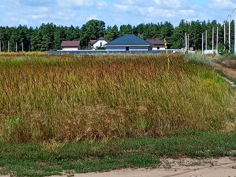 участок по адресу Медова