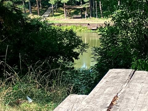 ділянка за адресою Медова