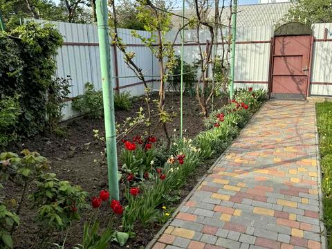 дом по адресу Люстдорфская дорога ул., 27 будинок 37