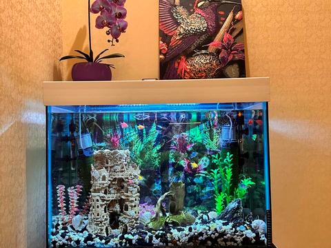 квартира по адресу Прохоровская ул., 14