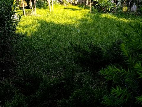 дом по адресу Костя Широцкого ул., 79