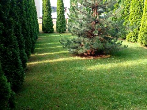 будинок за адресою с. Гореничі, Столична 1-а