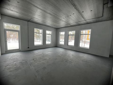 коммерческая по адресу Мечты ул. (Пушкинская), 1