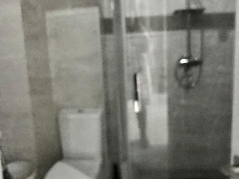 квартира по адресу Дача Ковалевского ул., 91