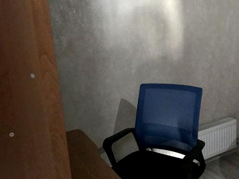 квартира по адресу Дача Ковалевского ул., 91