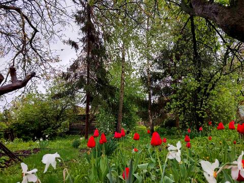будинок за адресою Г. Арабея