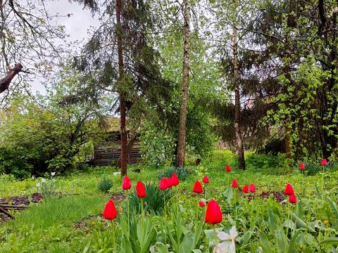 будинок за адресою Г. Арабея