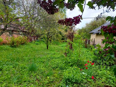 будинок за адресою Г. Арабея