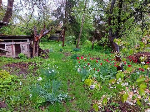 будинок за адресою Г. Арабея