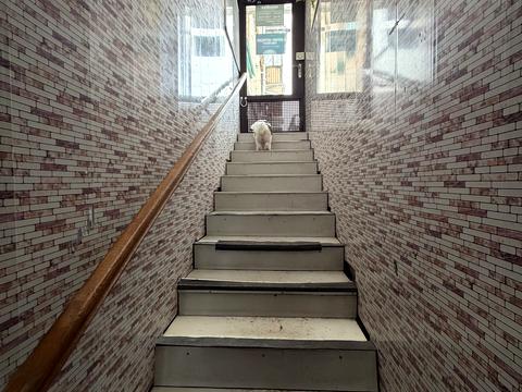 комерційна за адресою Межигірська вул., 56