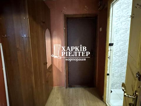 квартира по адресу Плиточная ул., 19