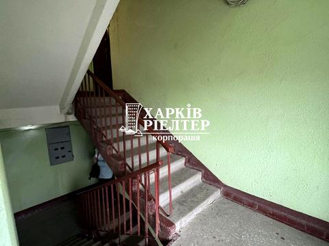 квартира по адресу Плиточная ул., 19