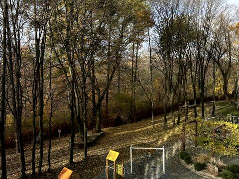 квартира за адресою Пасічна вул., 84а, к.1