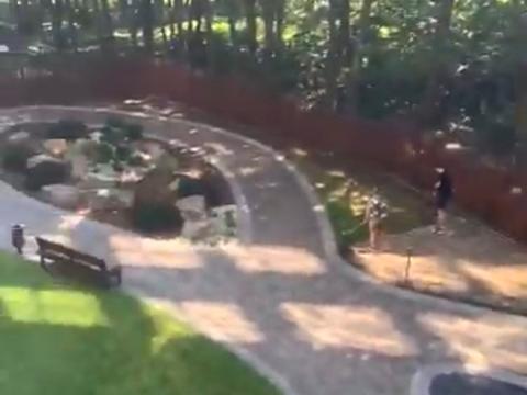 квартира за адресою Пасічна вул., 84а, к.1