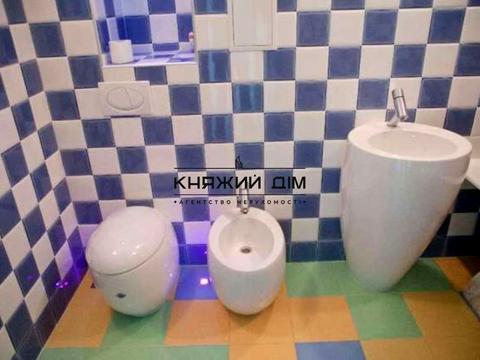 комерційна за адресою Раїси Окіпної вул., 10-А