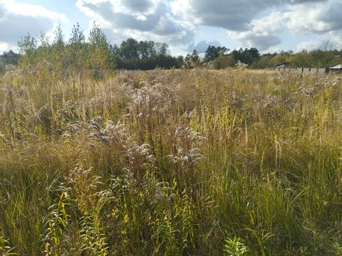 ділянка за адресою 