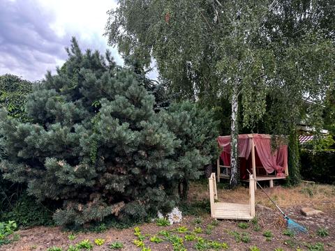 будинок за адресою с. Фонтанка, Хмельницького вул., 14