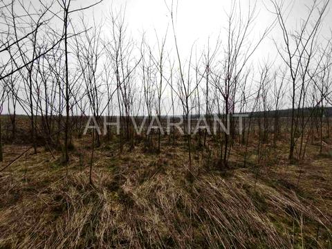 участок по адресу Польова