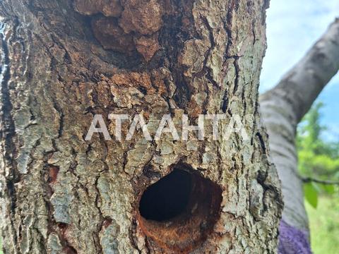 будинок за адресою рокосовського