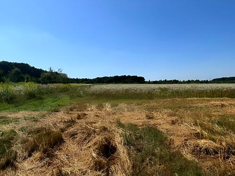 участок по адресу с. Годовица, 