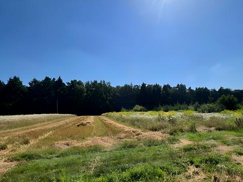 участок по адресу с. Годовица, 