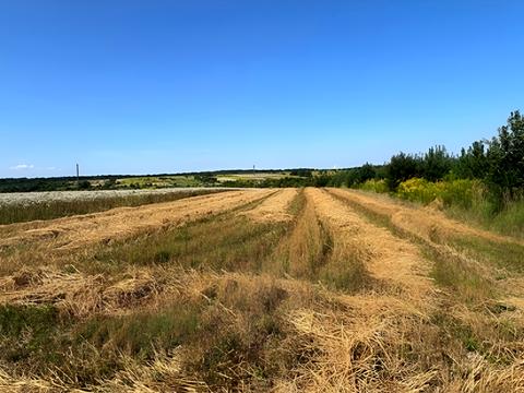 участок по адресу с. Годовица, 