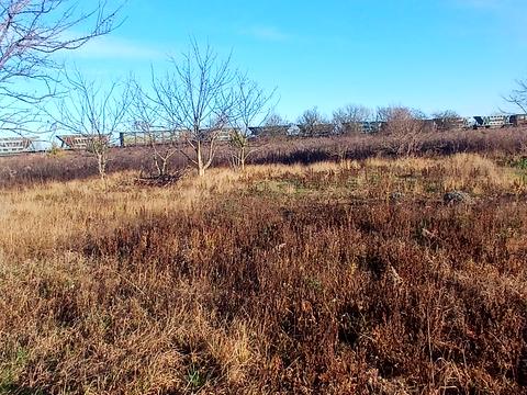 дом по адресу Житичі, 197