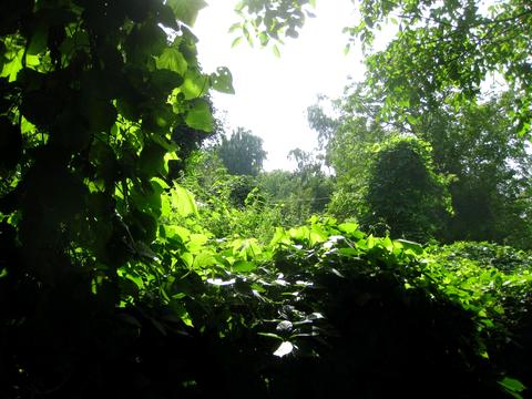 участок по адресу 