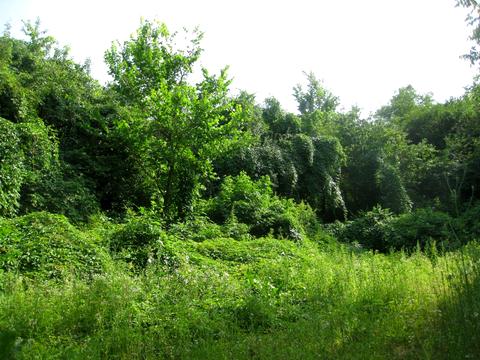 участок по адресу 